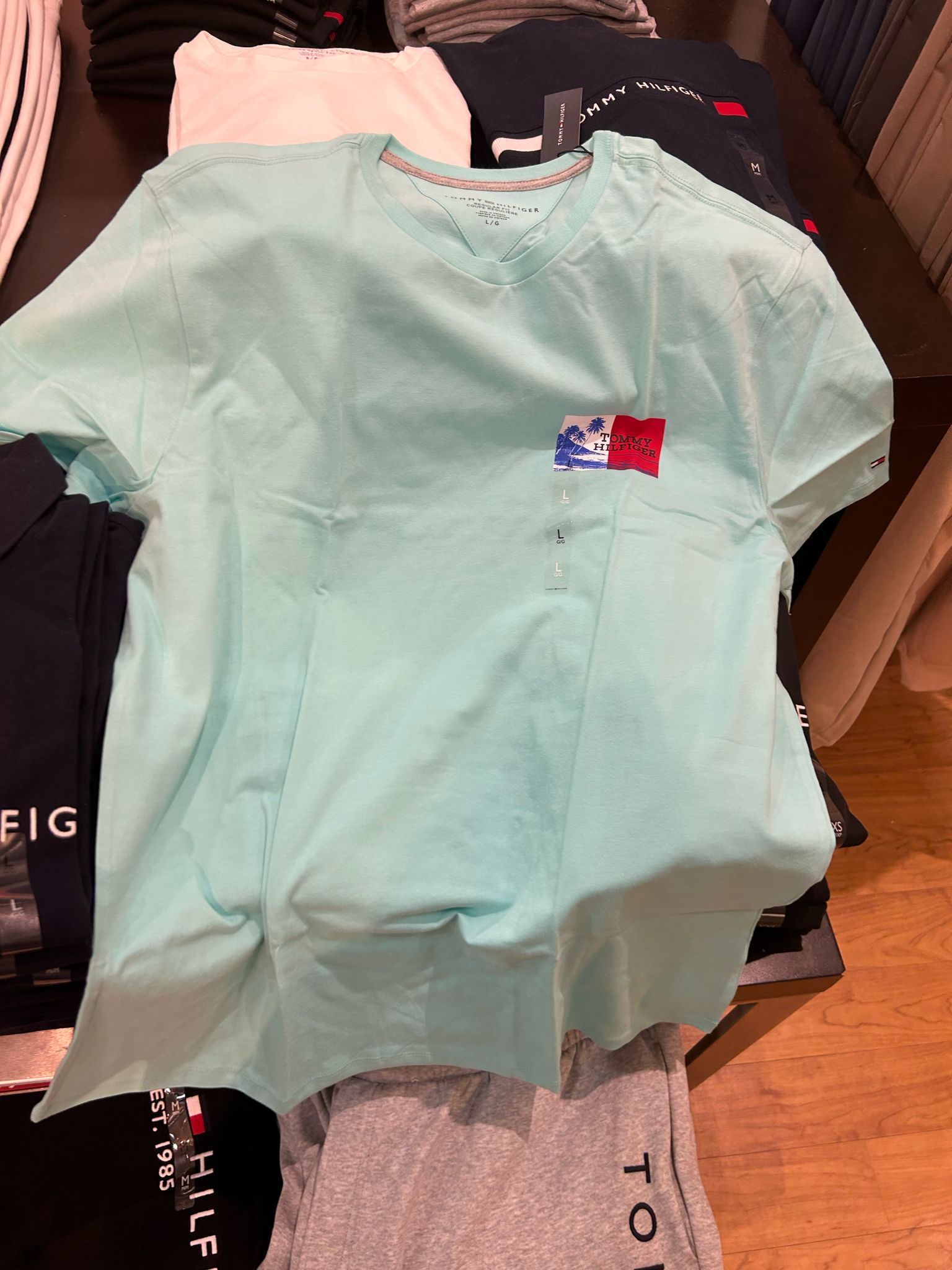 Tommy Mens' Island Graphic T-Shirt/ Miami Aqua