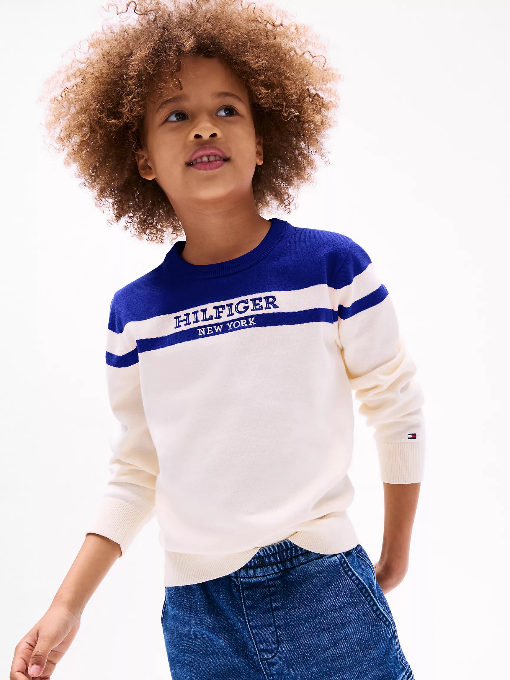Tommy Hilfiger boys' Colorblock Logo Crewneck Sweater