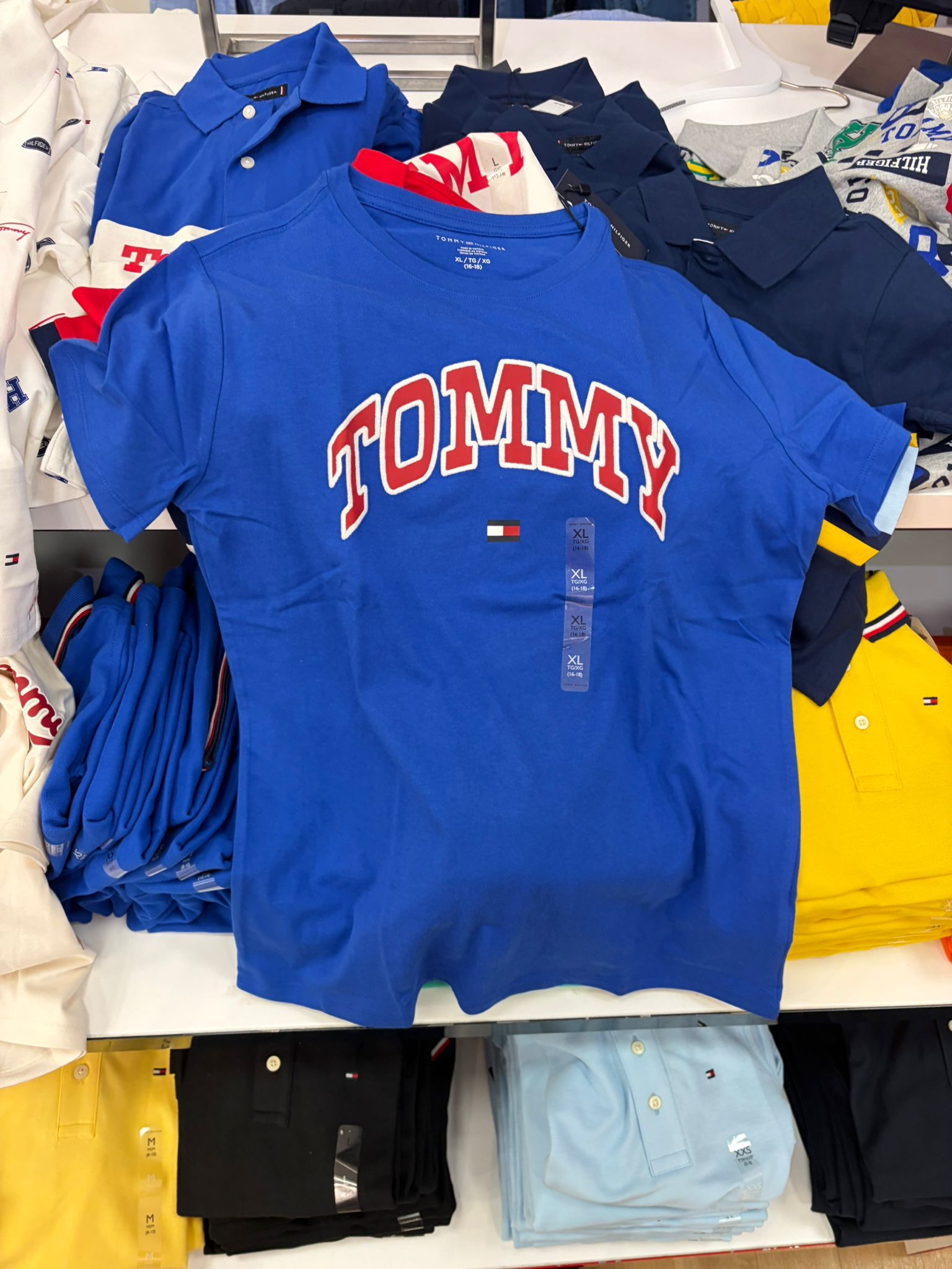 Boys' Tommy Varsity Logo Embroidery T-Shirt-Blue