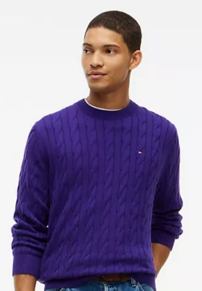 Cable Knit Crewneck Men Sweater-Winter Grape