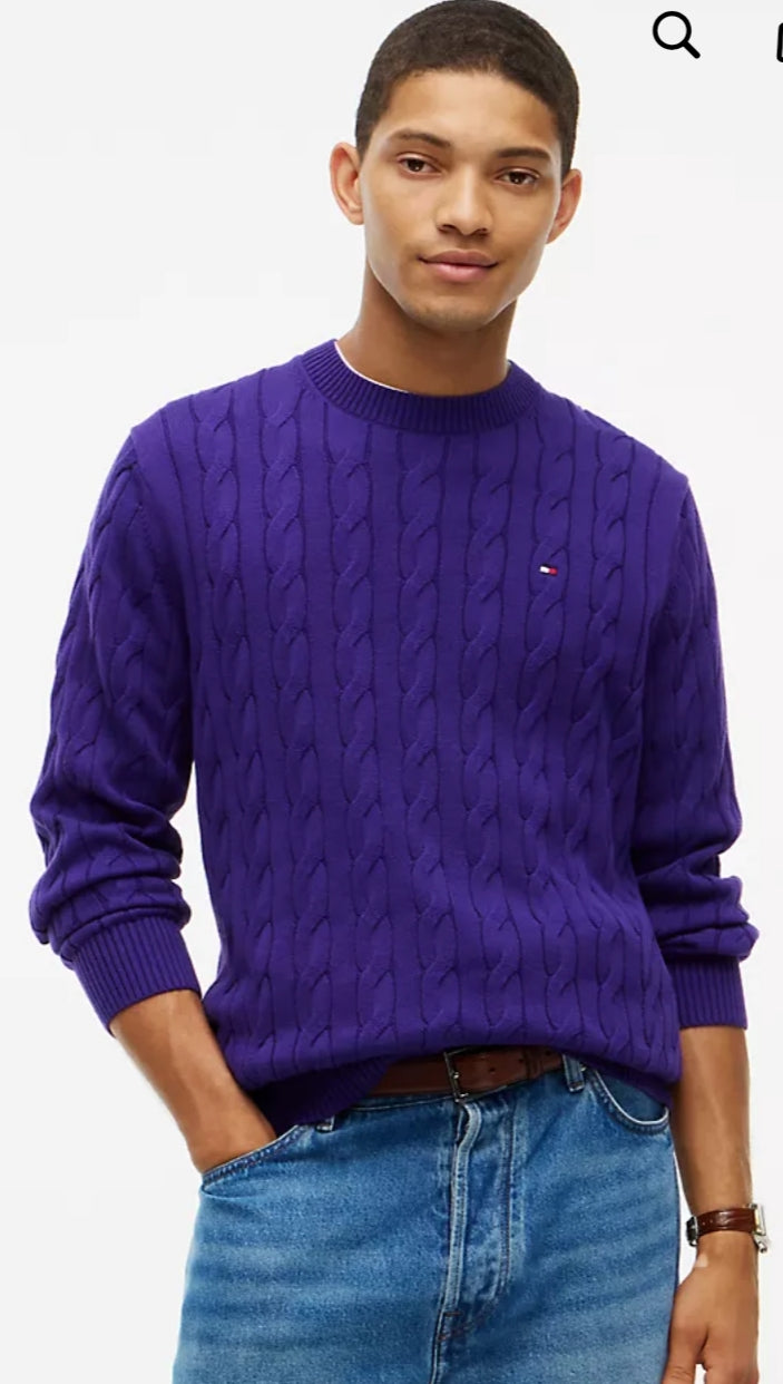 Cable Knit Crewneck Men Sweater-Winter Grape