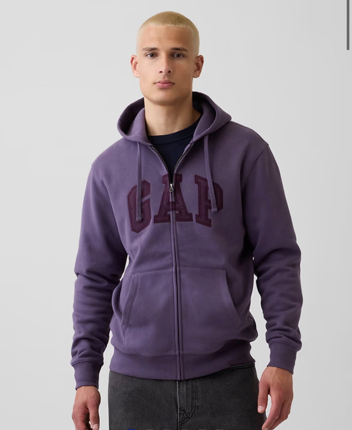 Gap Adult VintageSoft Arch Logo Zip Men Hoodie - Purple