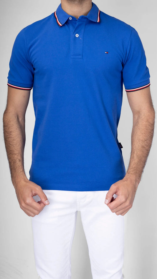 Men's Tommy Hilfiger Regular Fit Hilfiger Polo