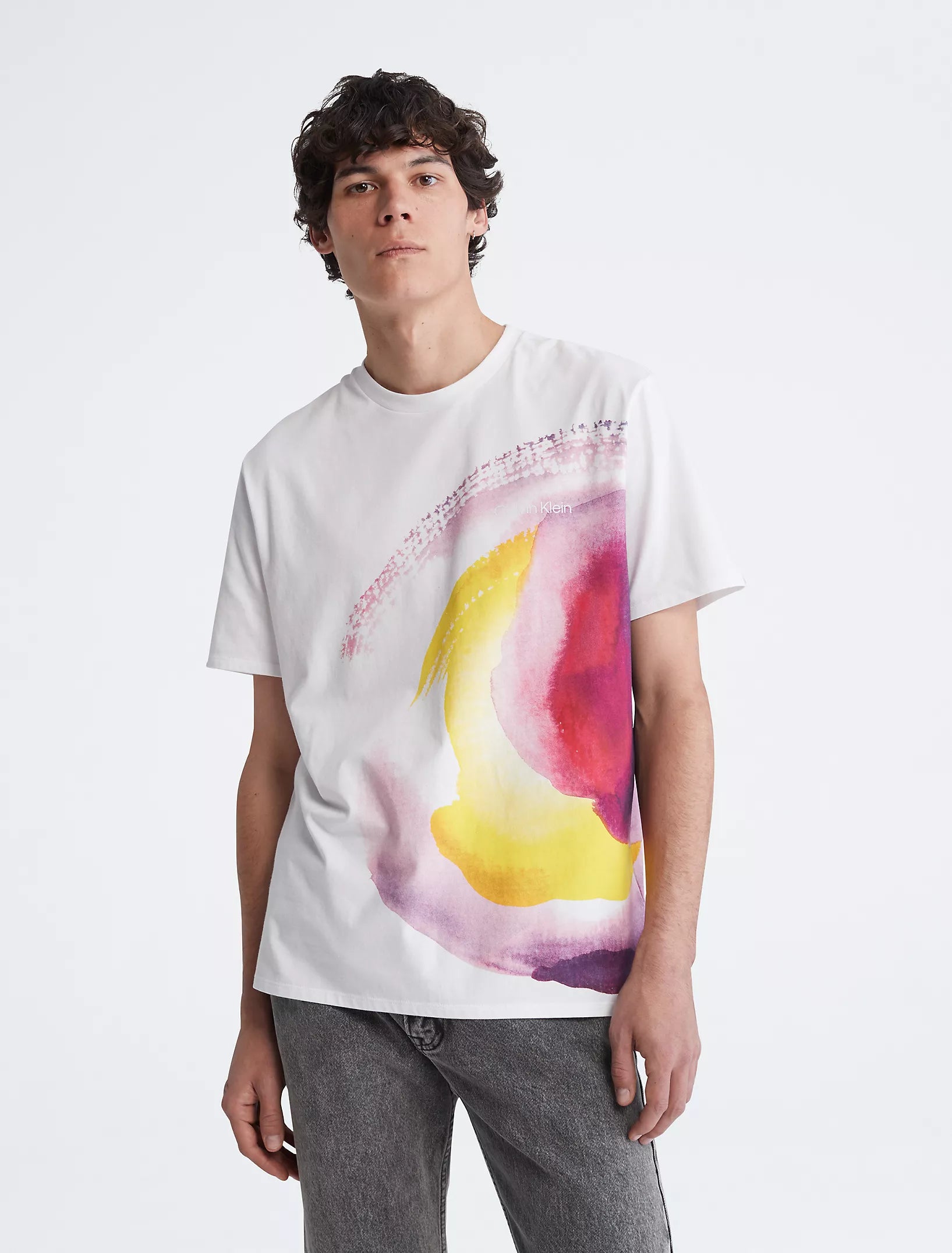 Calvin Klein MENS' Watercolor Graphic Crewneck T-Shirt