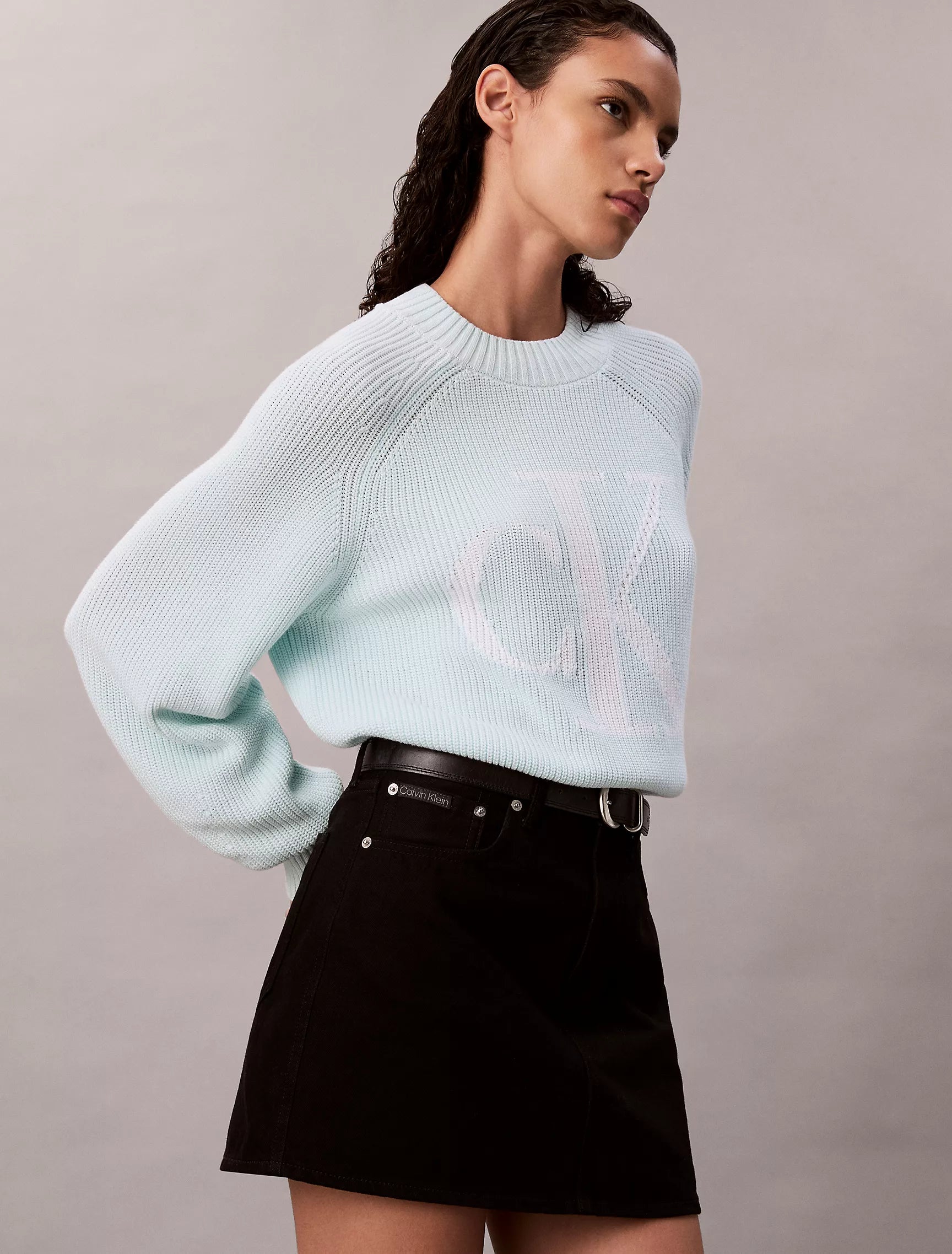 Calvin Klein Womens' Smooth Cotton Monogram Rib Classic Sweater Aqua Breeze