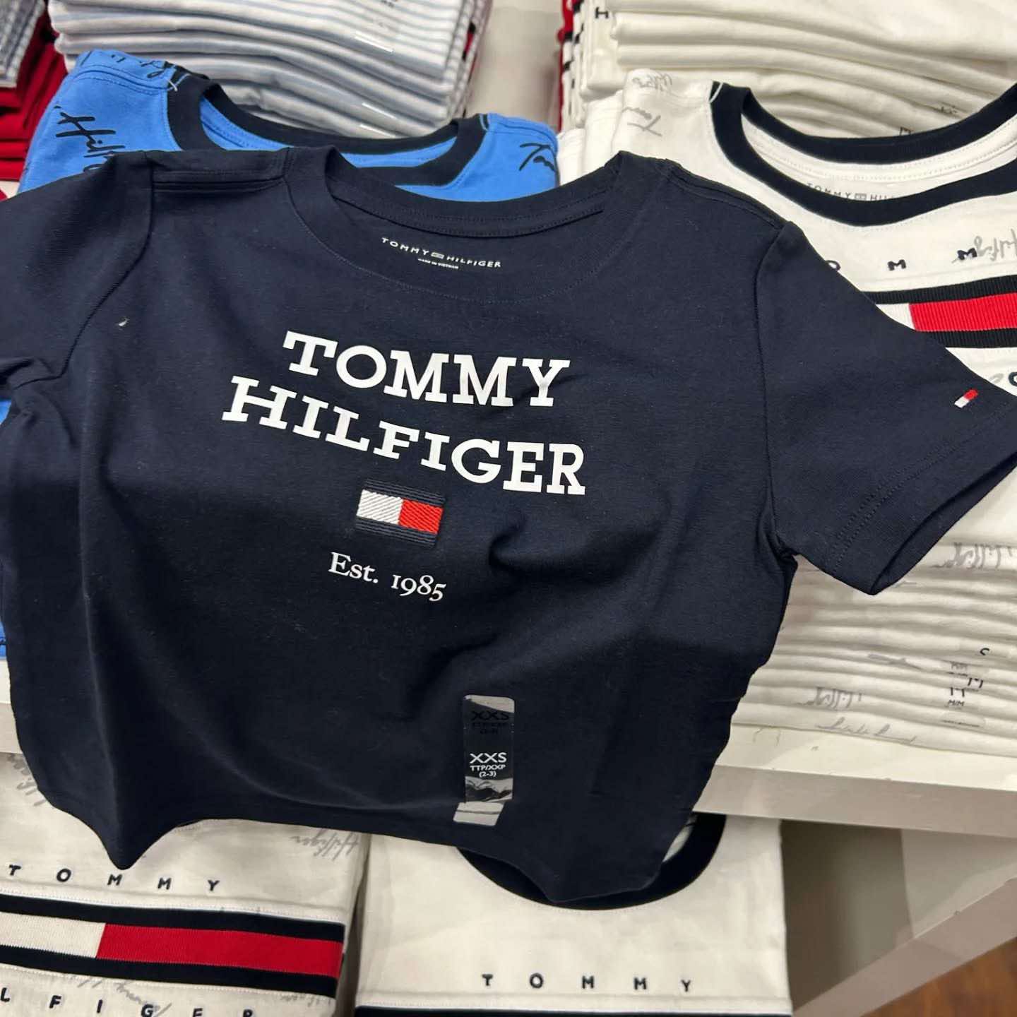 Boys' Tommy Hilfiger Logo T-Shirt / navy