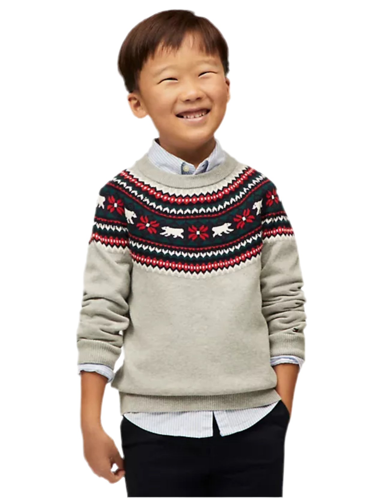 Boys' Tommy Hilfiger-  Polar Bear Fair Isle Sweater - Grey