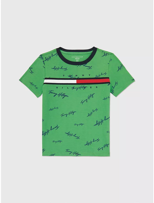 Tommy Hilfiger Kids' Signature Flag Stripe Logo T-Shirt - Sea Glass Green
