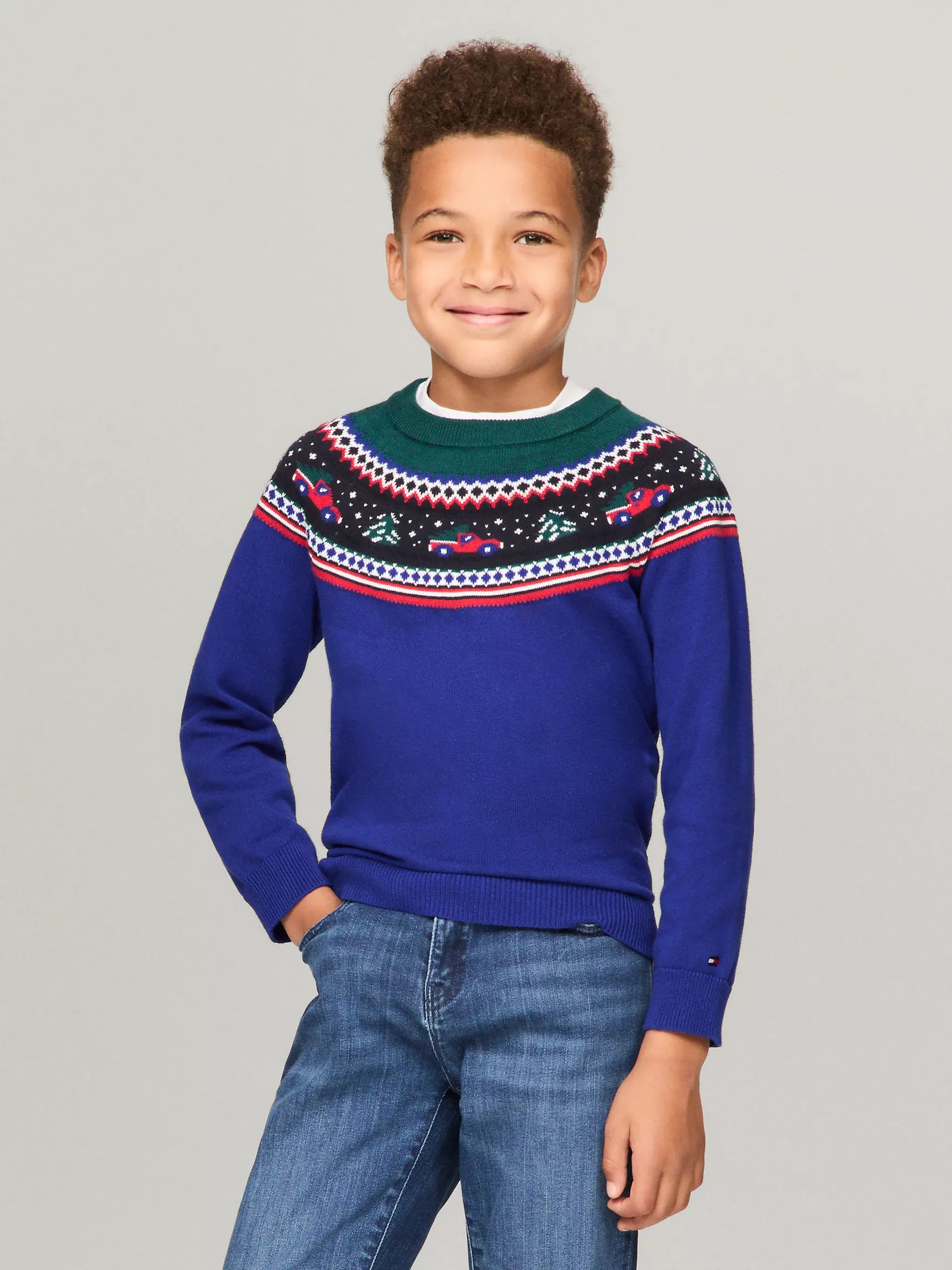 Tommy Hilfiger BOYS' Truck and Tree Fair Isle Sweater