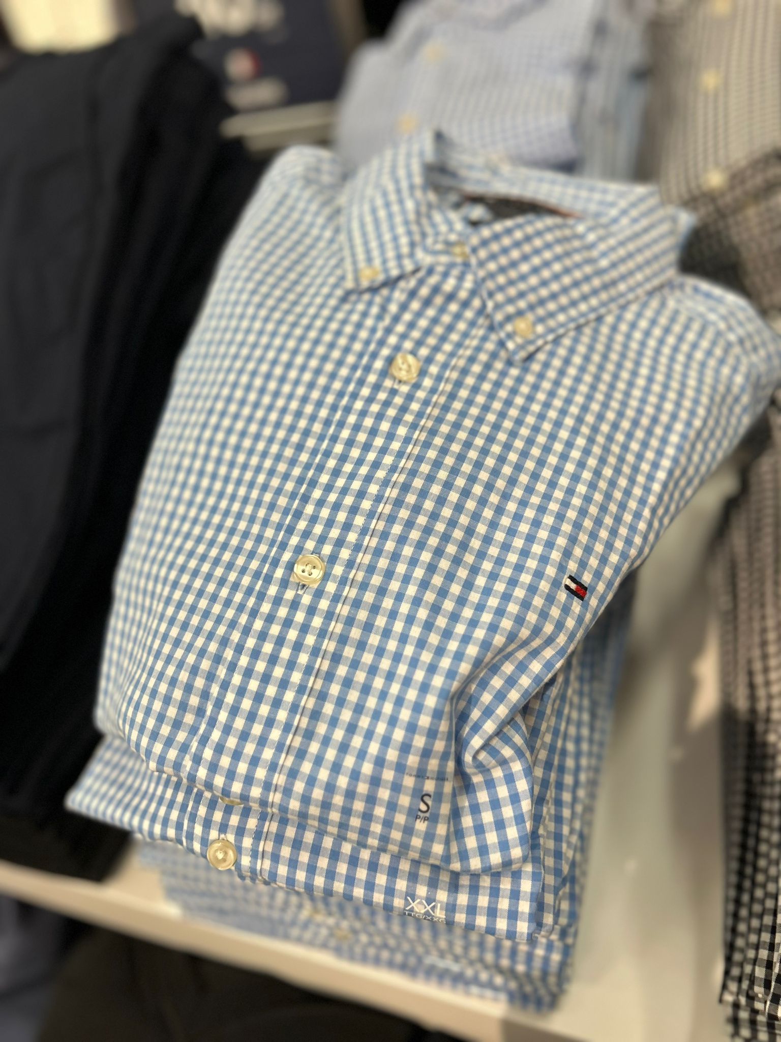 Tommy Mens' Regular Fit Gingham Oxford Shirt / BLUE