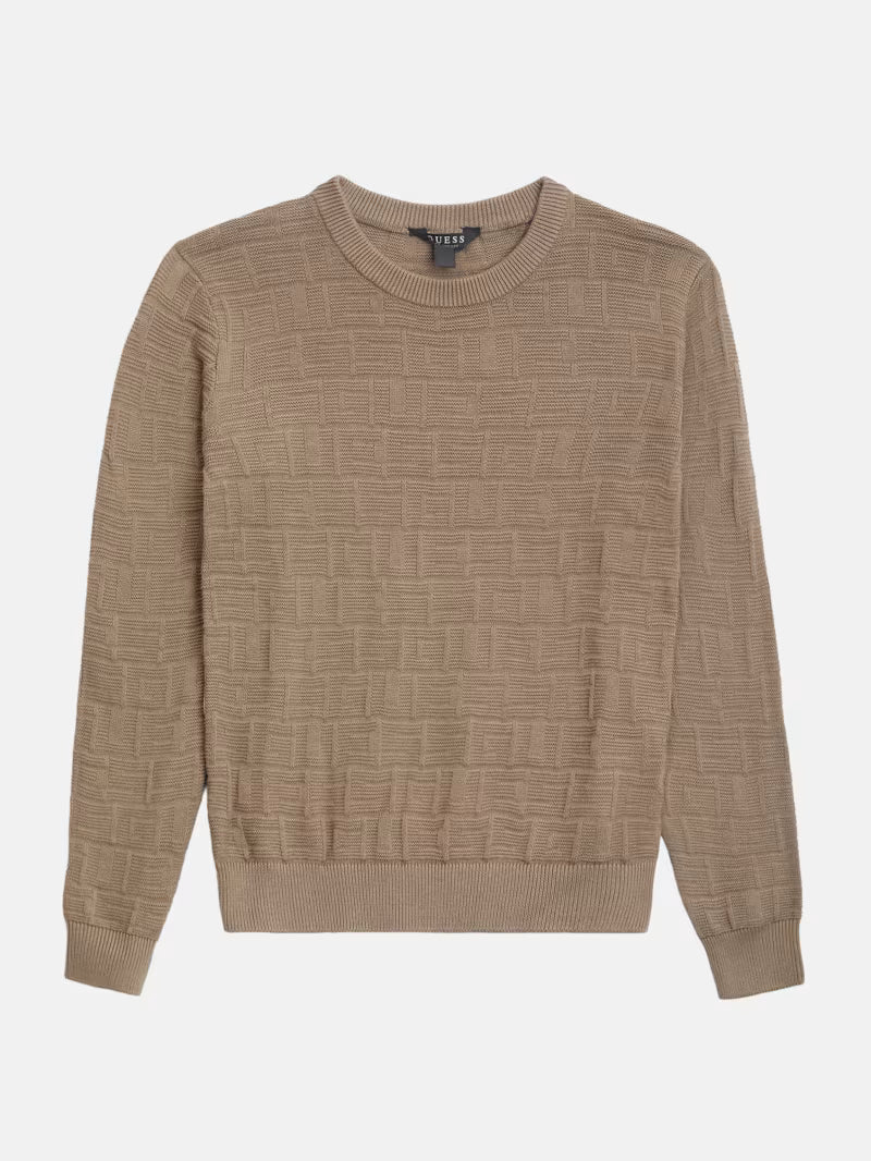 Guess BOYS Pedro Jacquard Crew Sweater (7-16) Beige