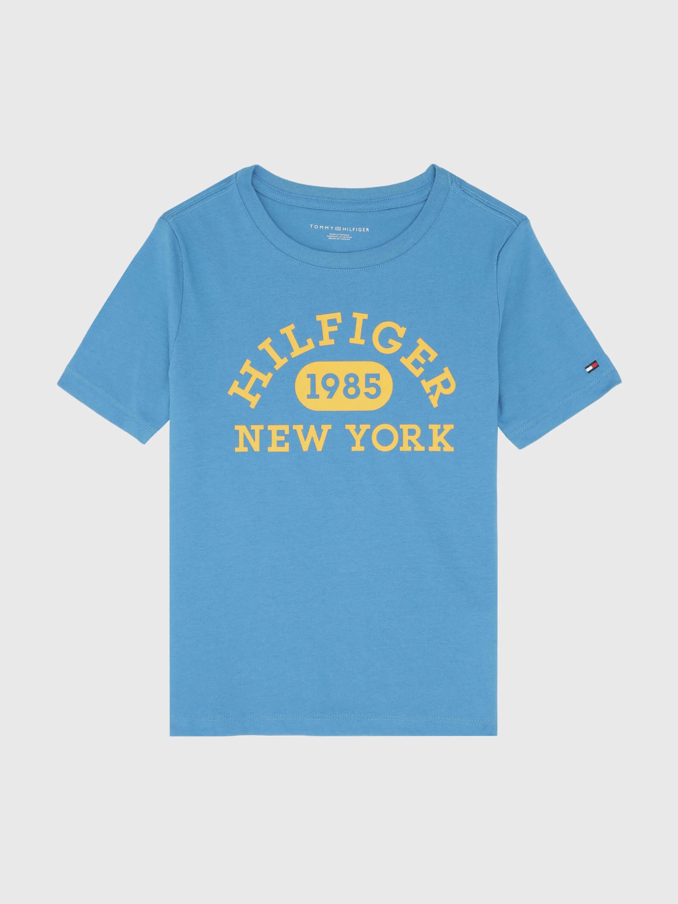 Tommy Hilfiger Boys' Regular Fit Logo Print T-Shirt