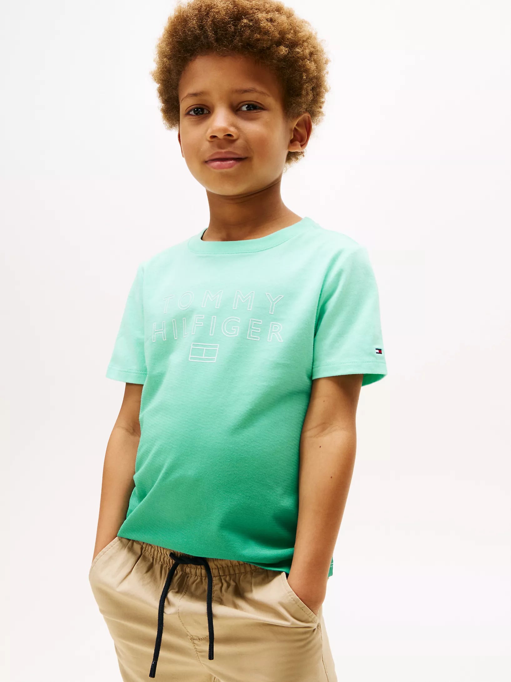 Boys' Tommy Ombre Hilfiger Logo T-Shirt