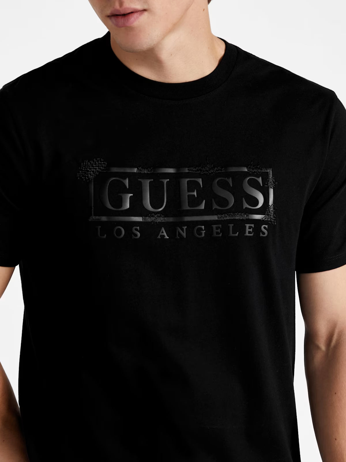 GUESS MENS' Eco Dale Logo Tee / Black