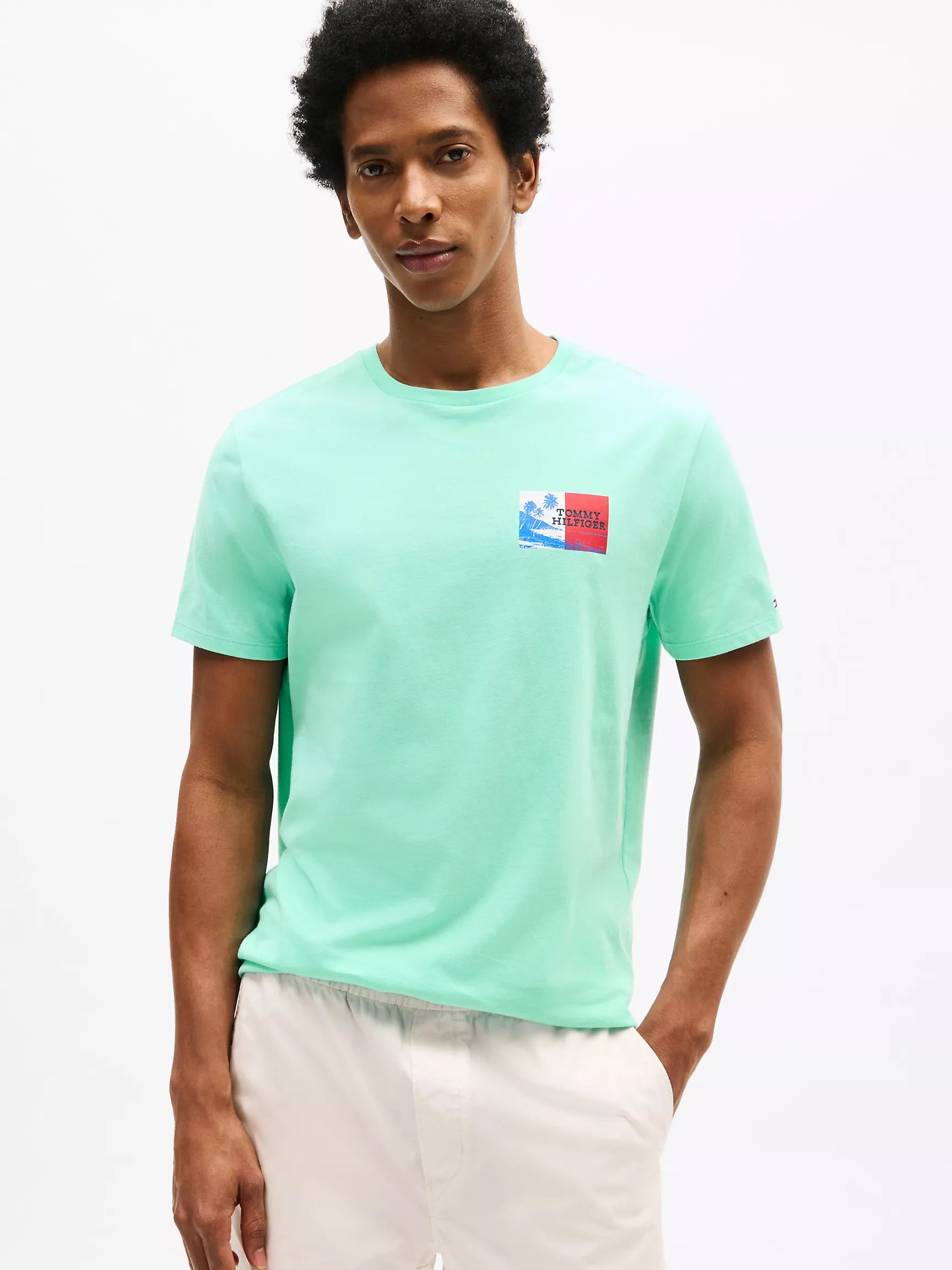Tommy Mens' Island Graphic T-Shirt/ Miami Aqua