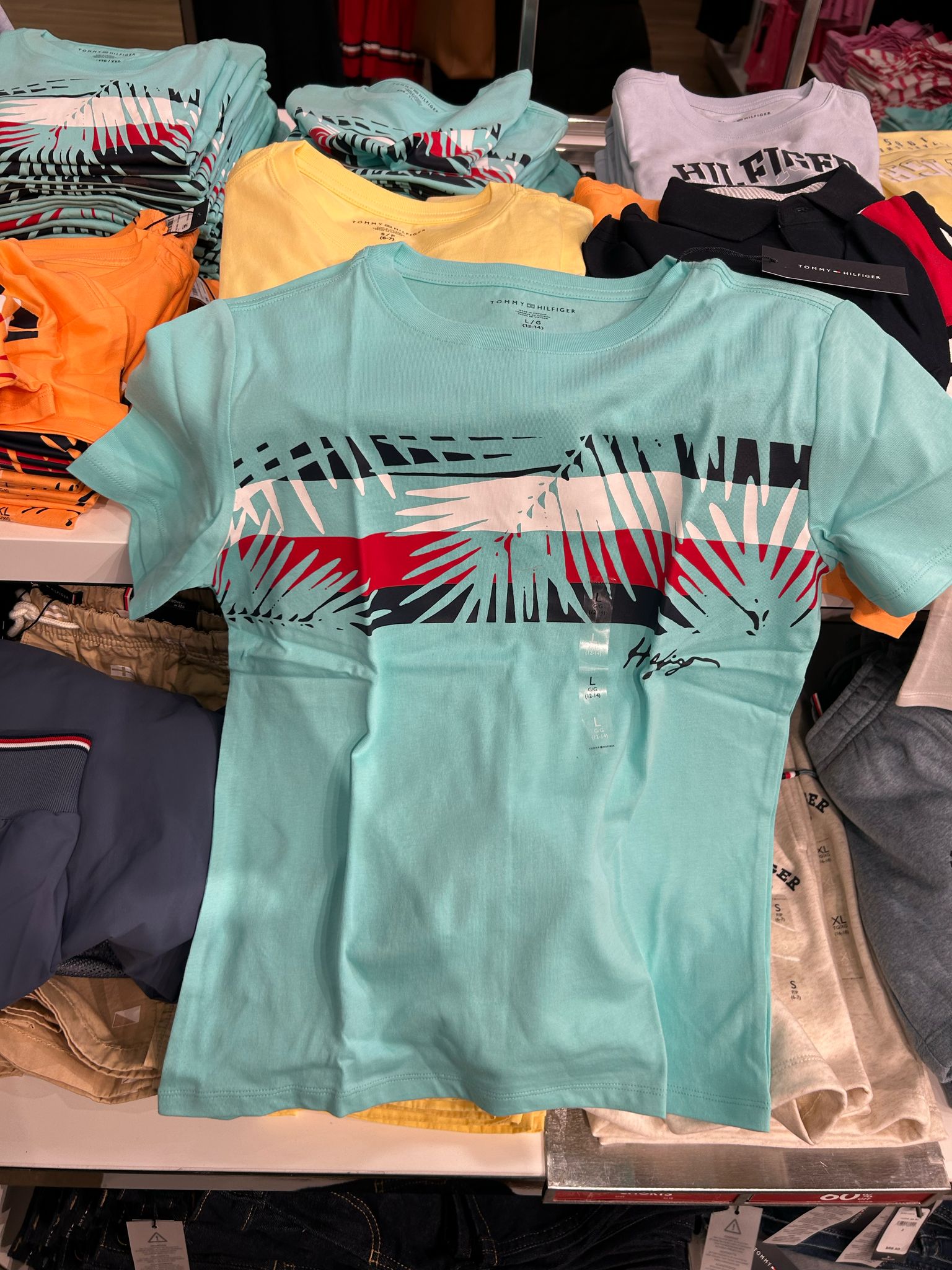 Boys' Tommy Palm Stripe T-Shirt