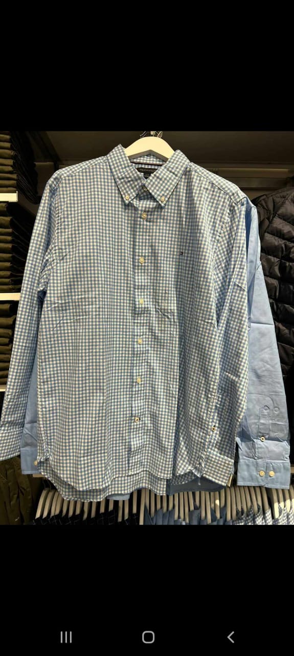 Tommy Mens' Regular Fit Gingham Oxford Shirt / BLUE